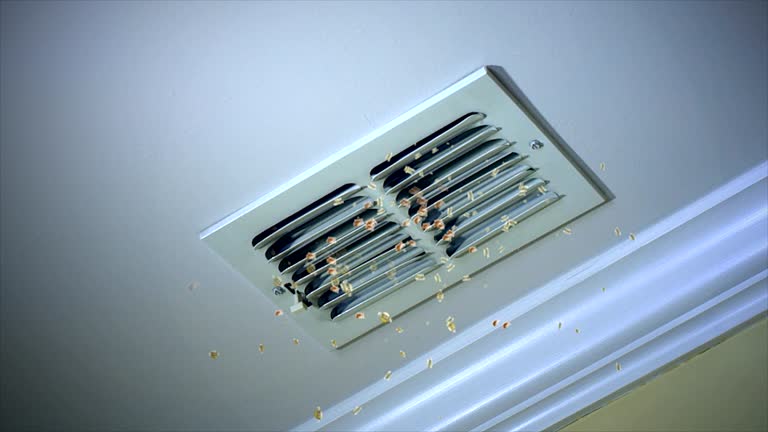 Best Home Air Vent Cleaning  in Budd Lake, NJ